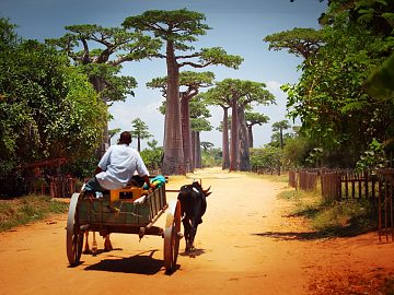 Zdjęcie kierunku: Antananarywa